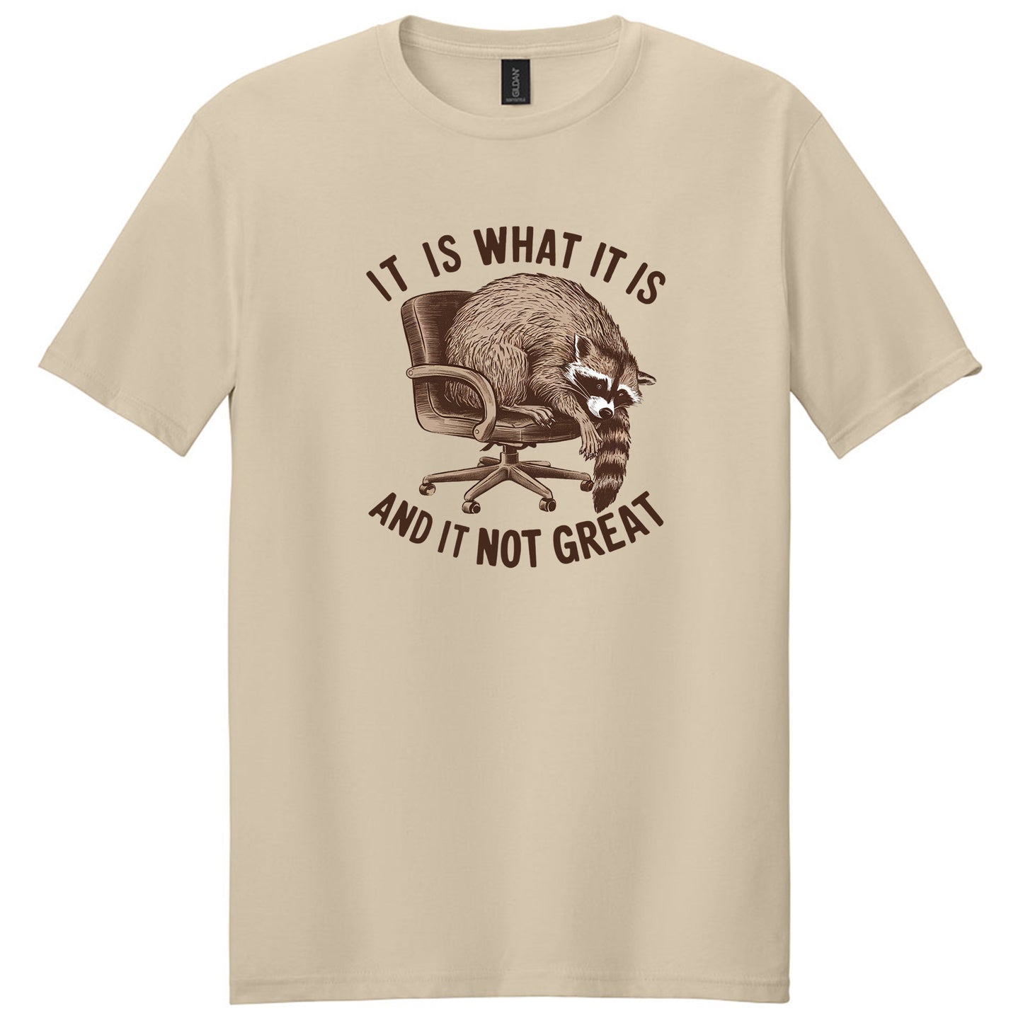 It Is What It Is And It Is Not Great Shirt