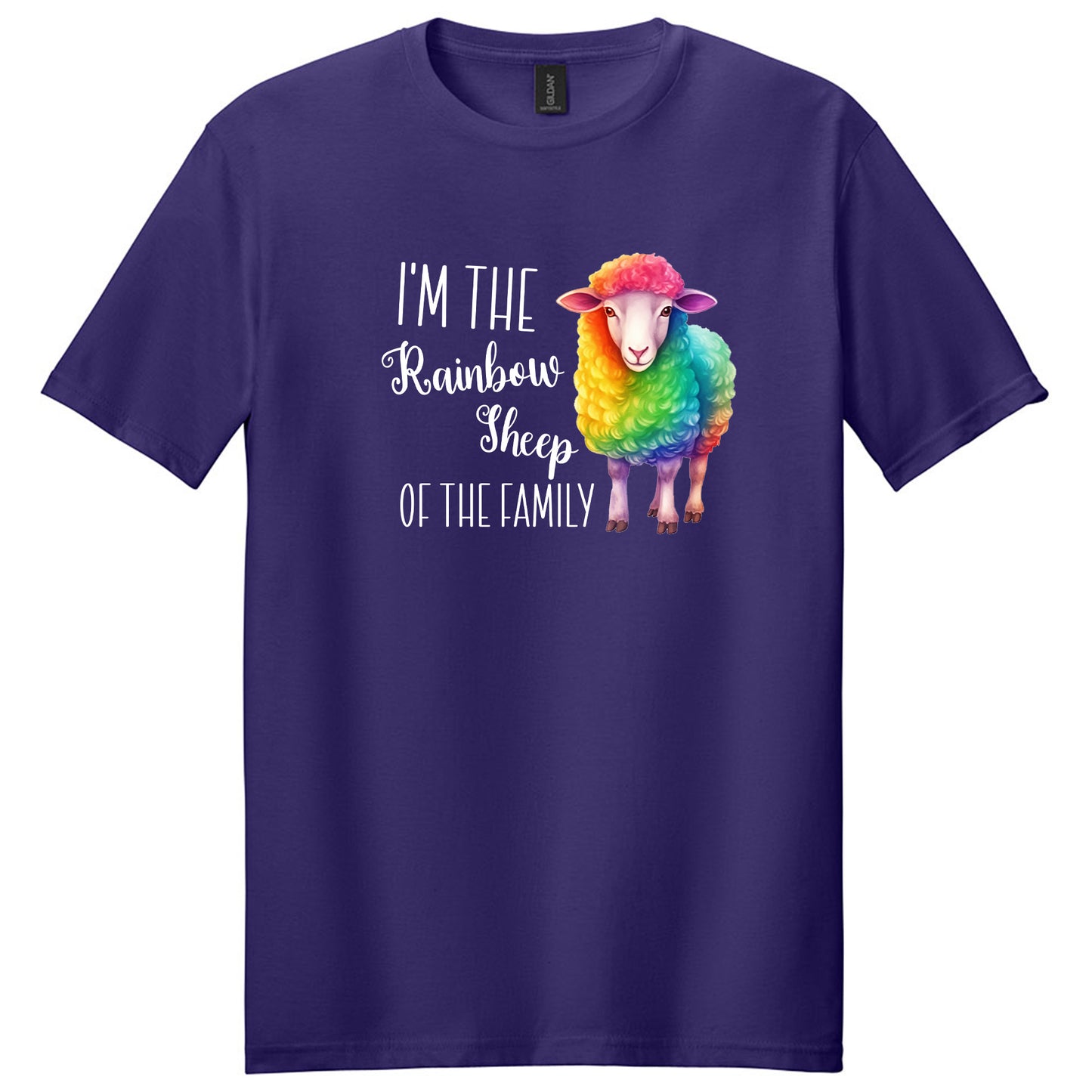 I'm the rainbow sheep of the family Shirt