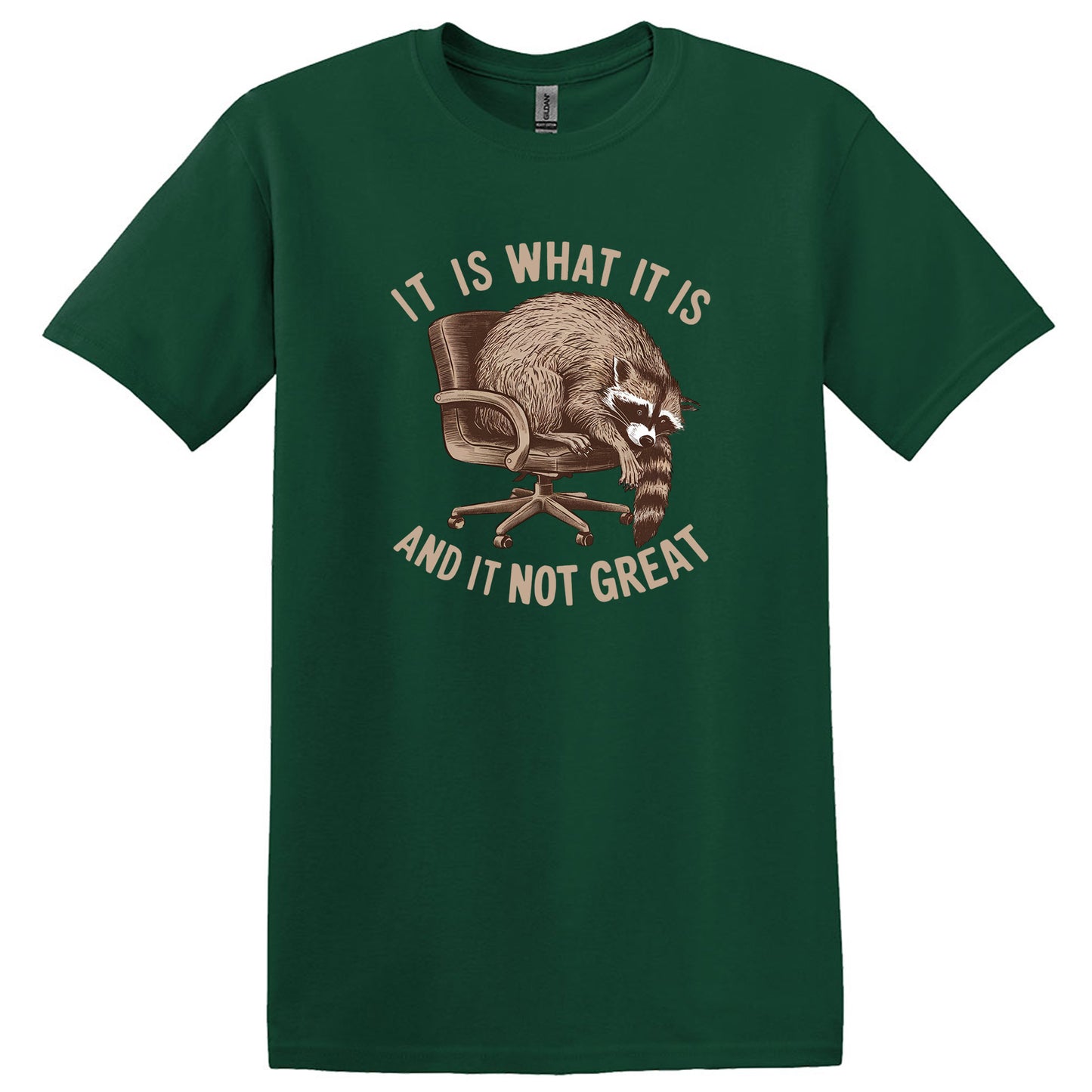 It Is What It Is And It Is Not Great Shirt