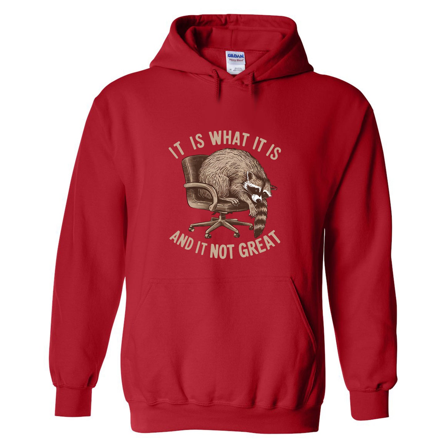 It Is What It Is And It Is Not Great Shirt