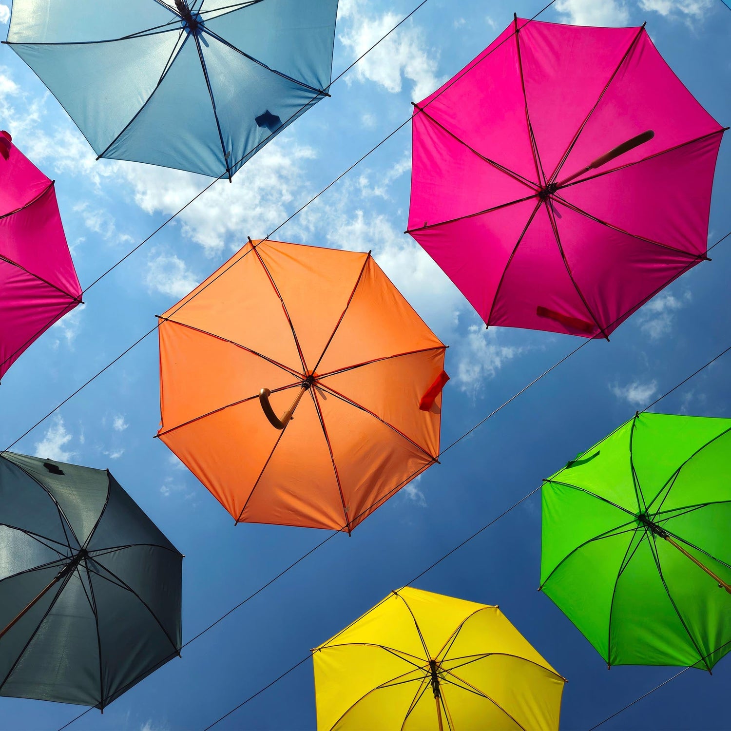 Umbrellas
